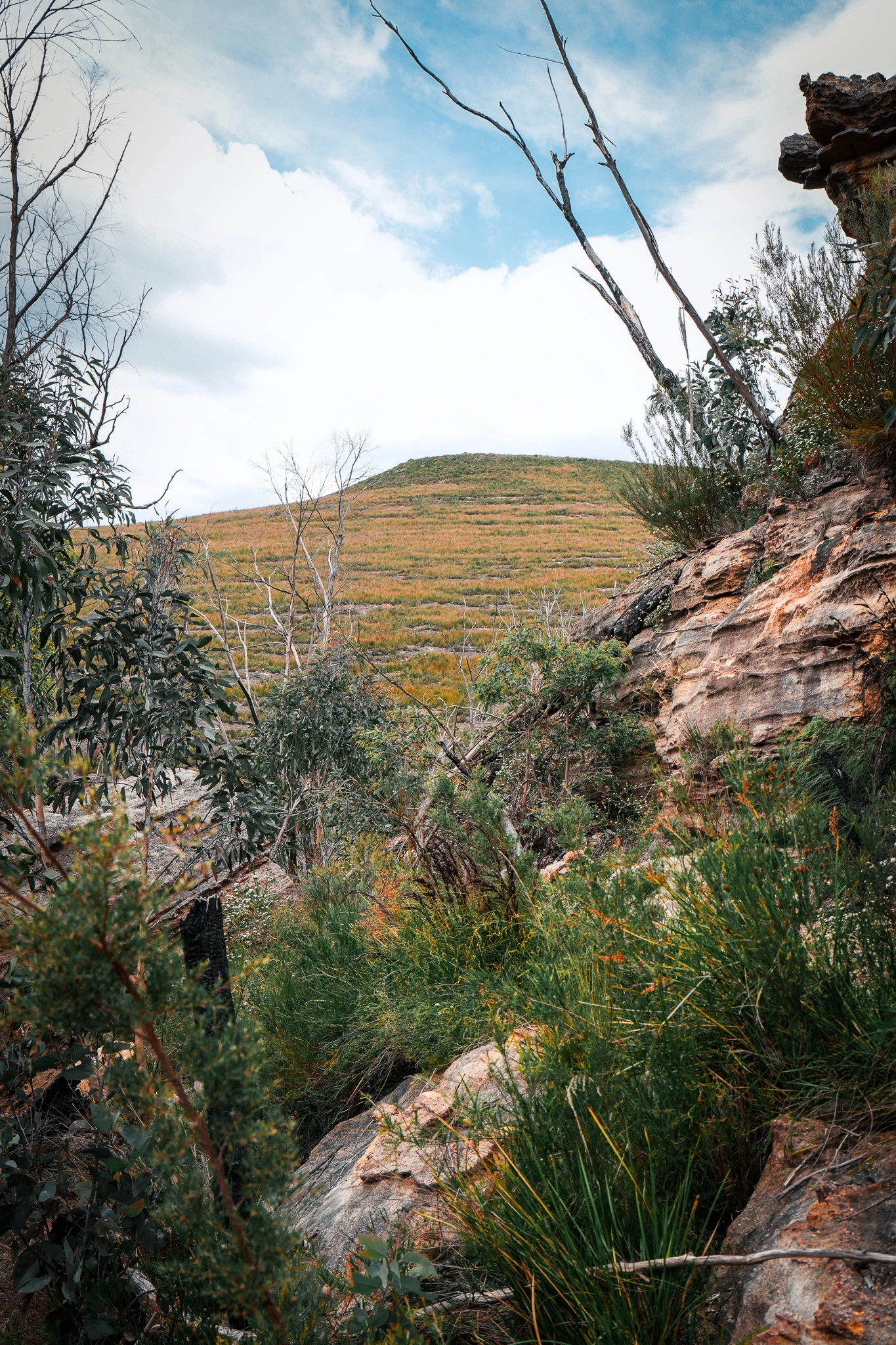 Central West, Australia photo 14