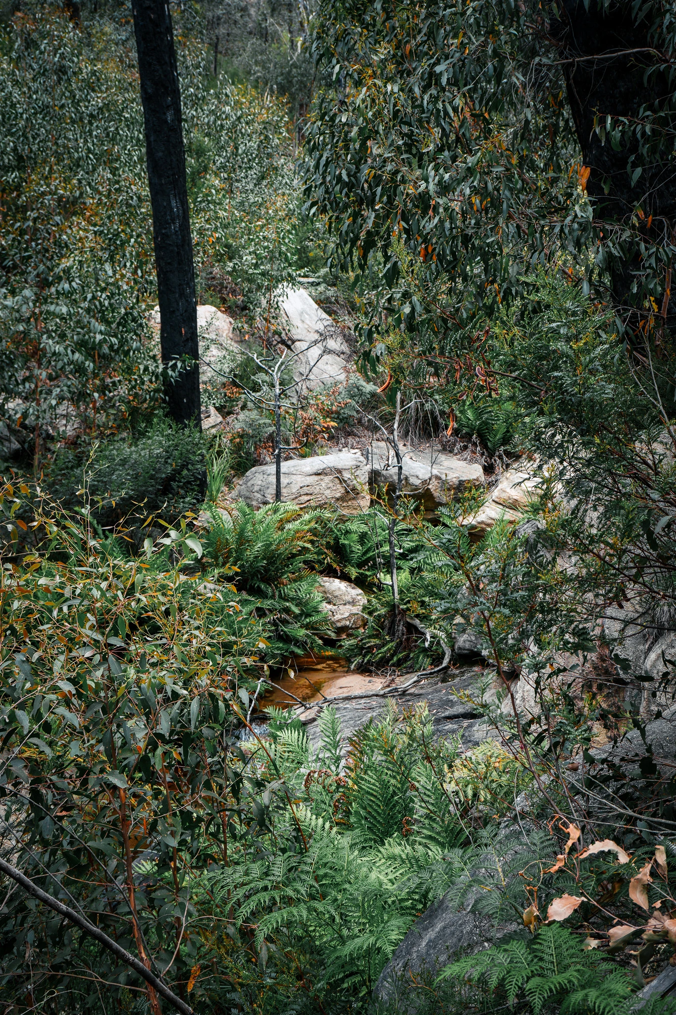Central West, Australia photo 16