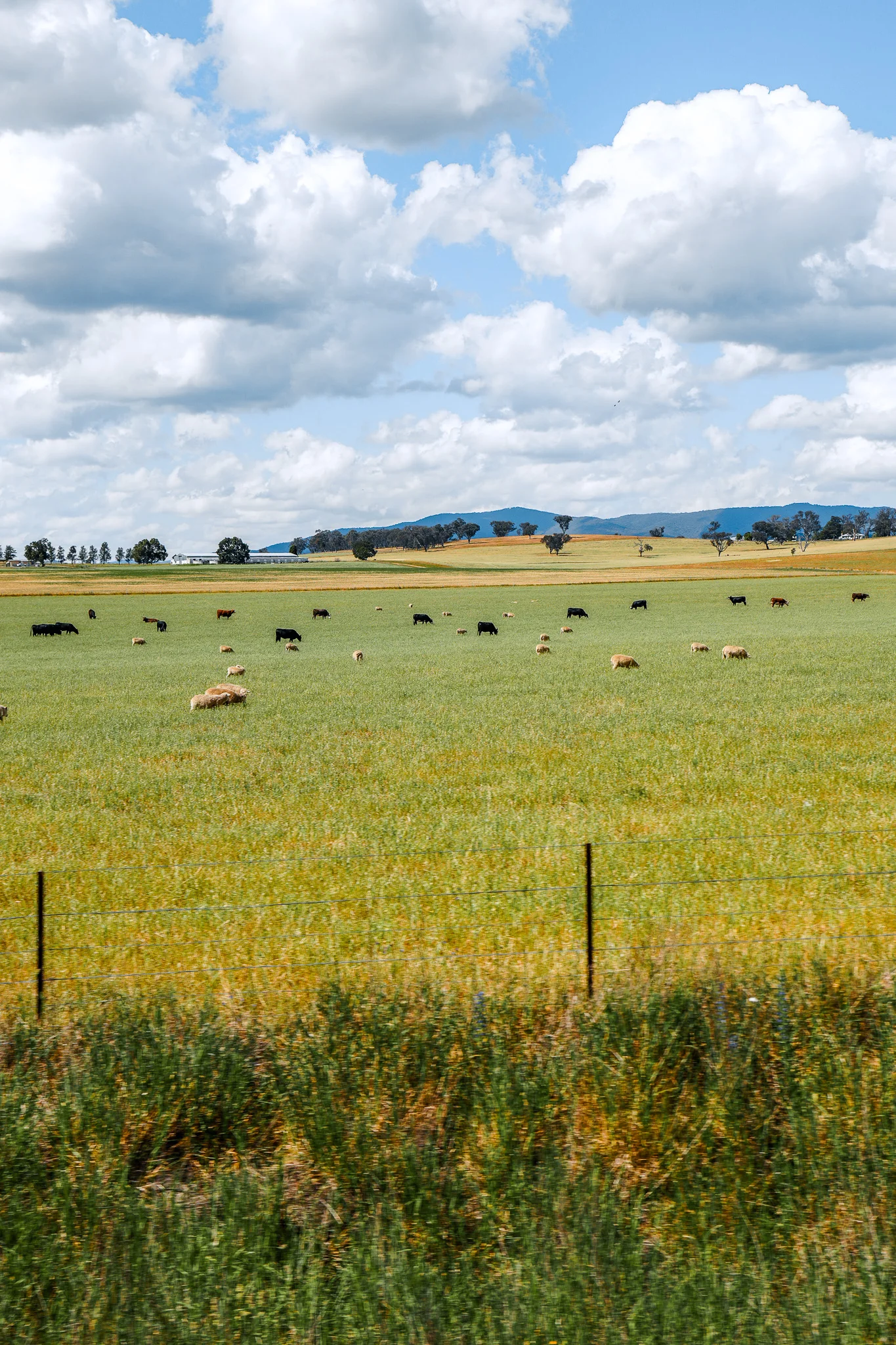 Central West, Australia photo 19