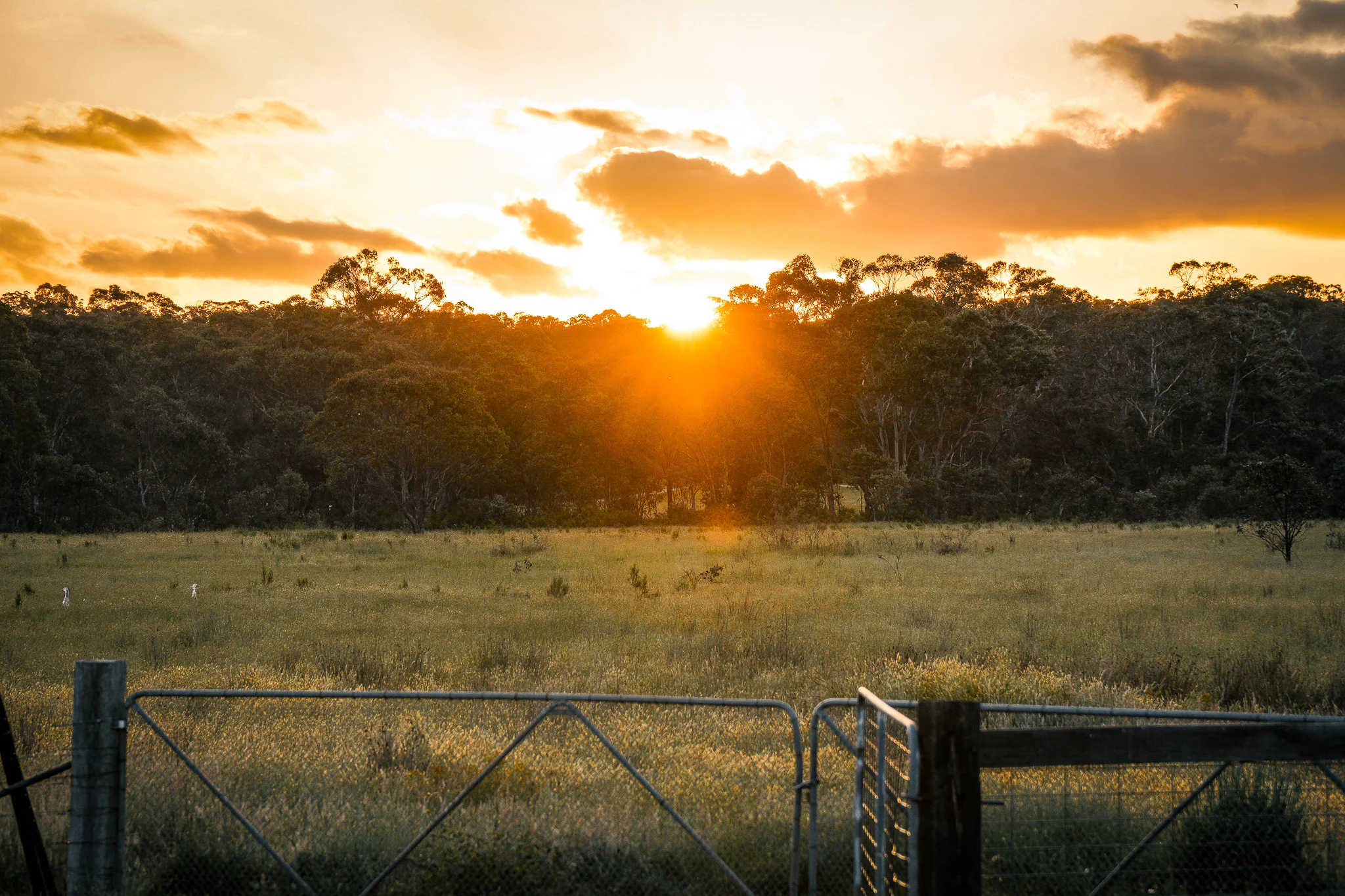 Central West, Australia photo 21