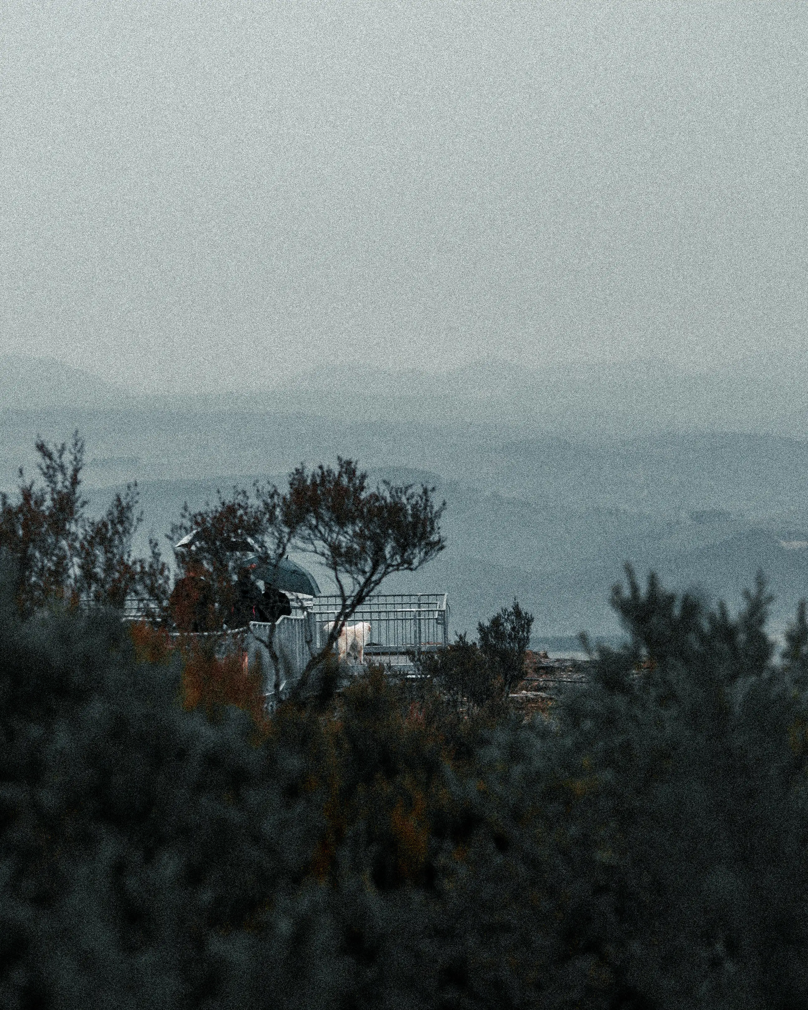 Central West, Australia photo 39