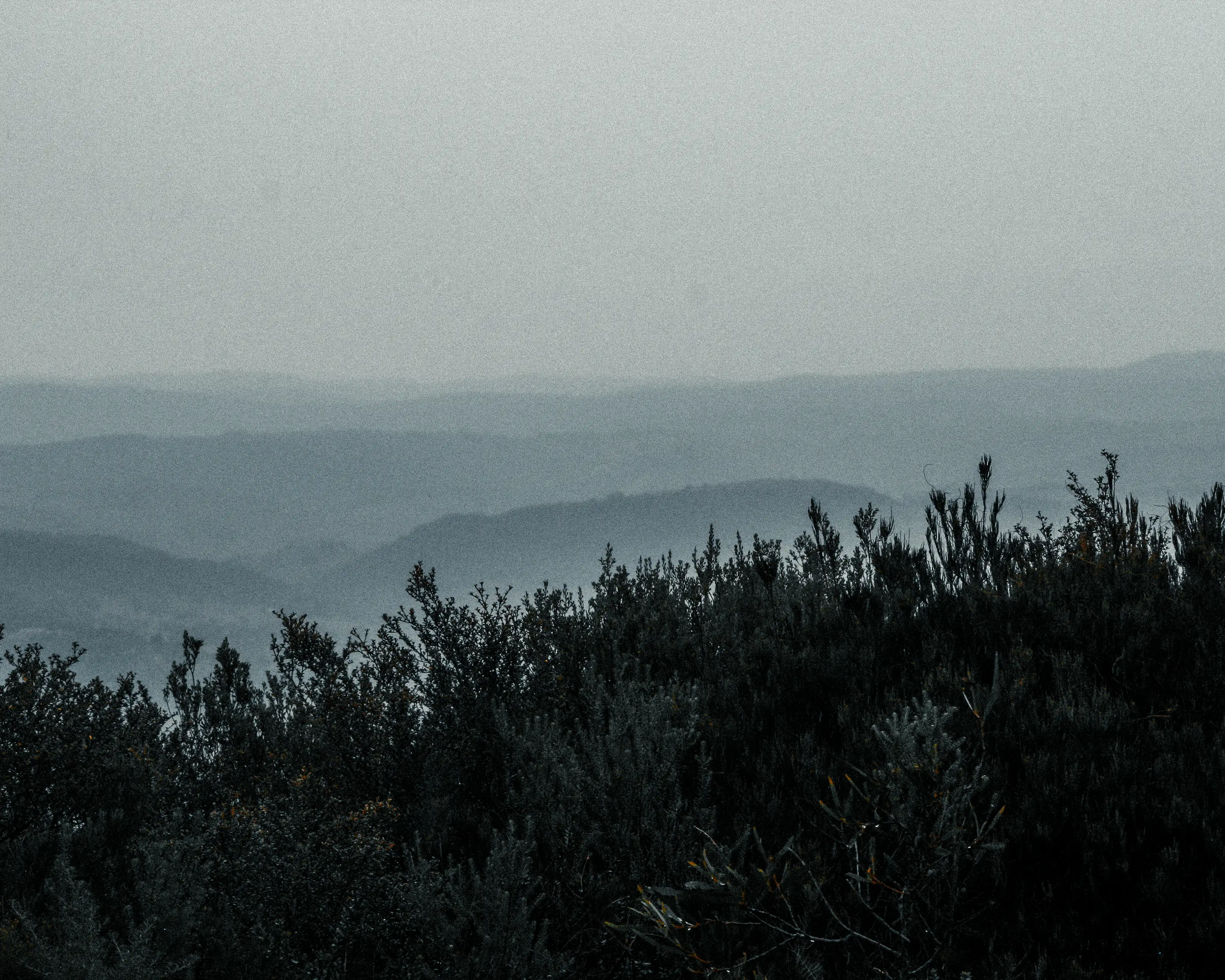 Central West, Australia photo 40