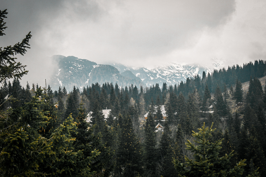Slovenia photo 1