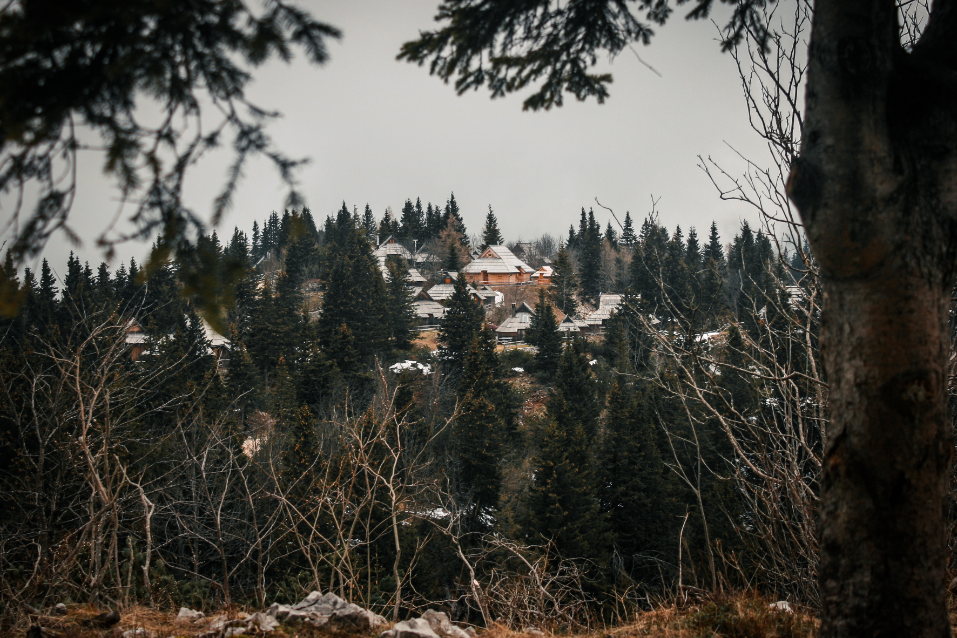 Slovenia photo 2