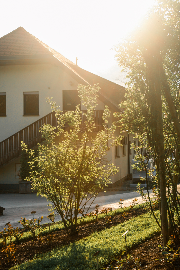 Slovenia photo 20