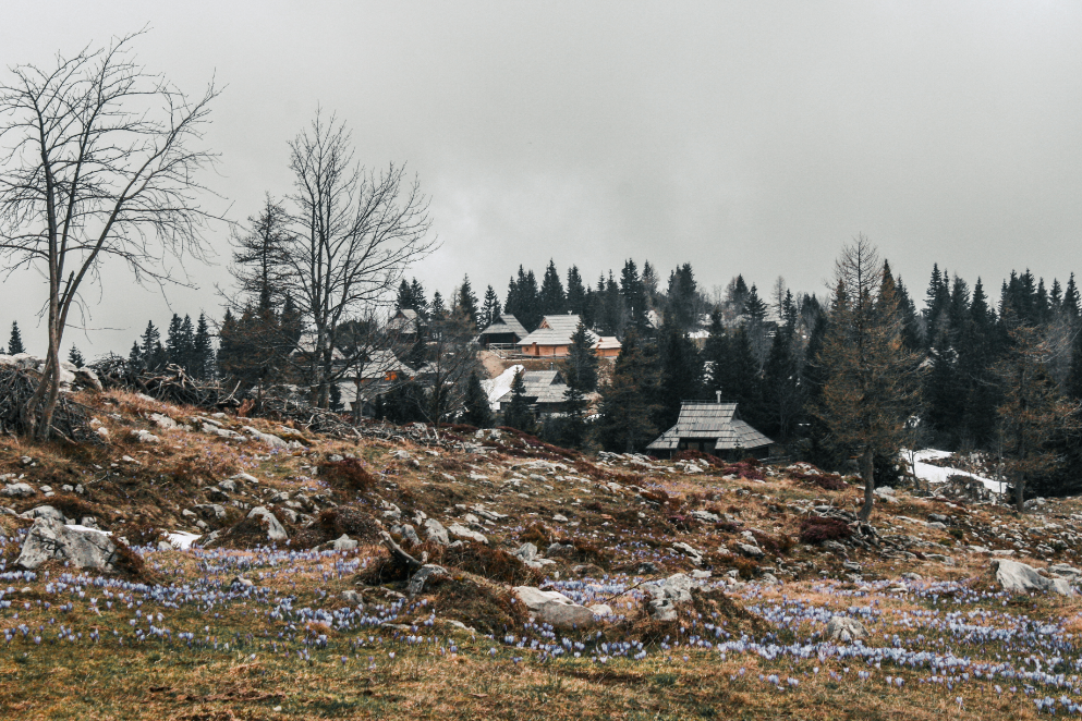Slovenia photo 3