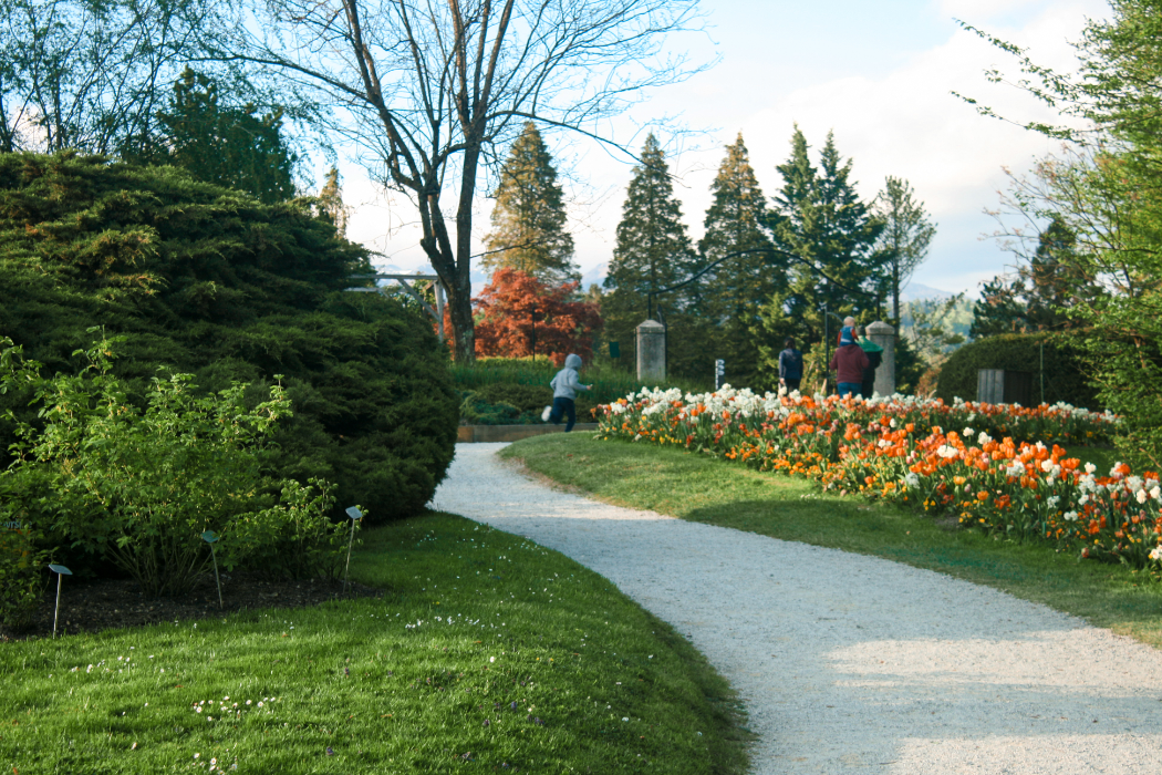 Slovenia photo 21
