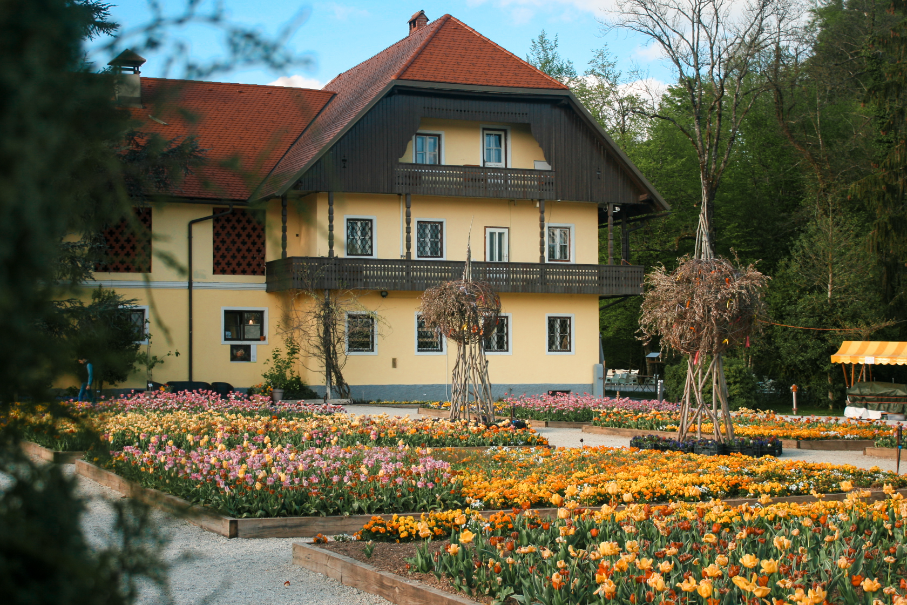 Slovenia photo 29
