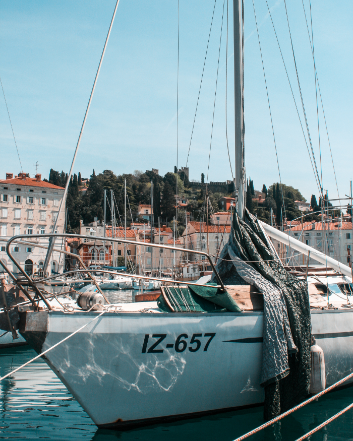 Slovenia photo 32