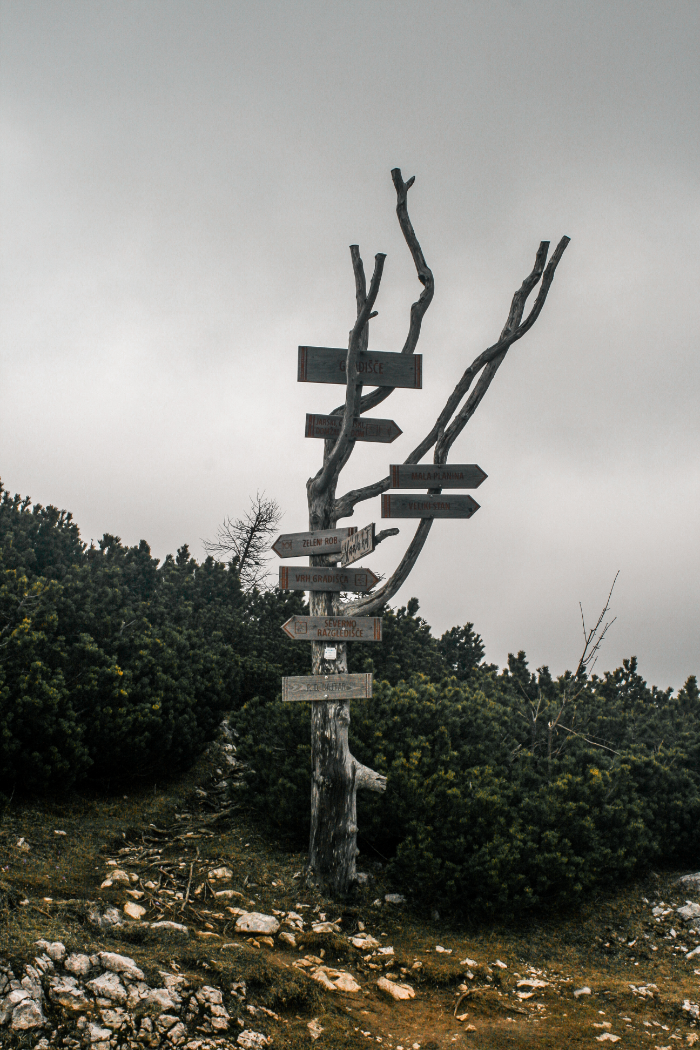 Slovenia photo 6