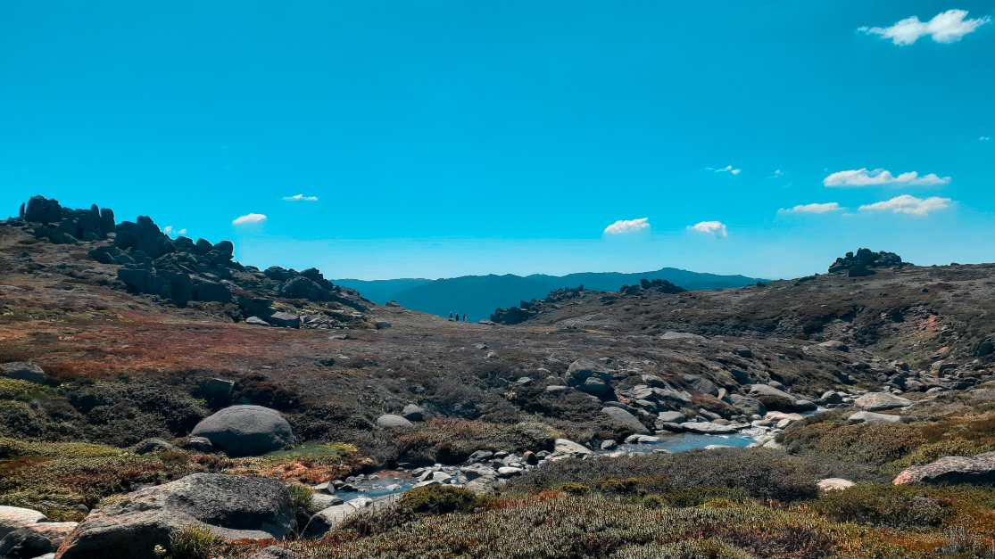 Snowy Mtns., Australia photo 14
