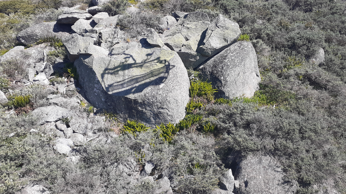 Snowy Mtns., Australia photo 3