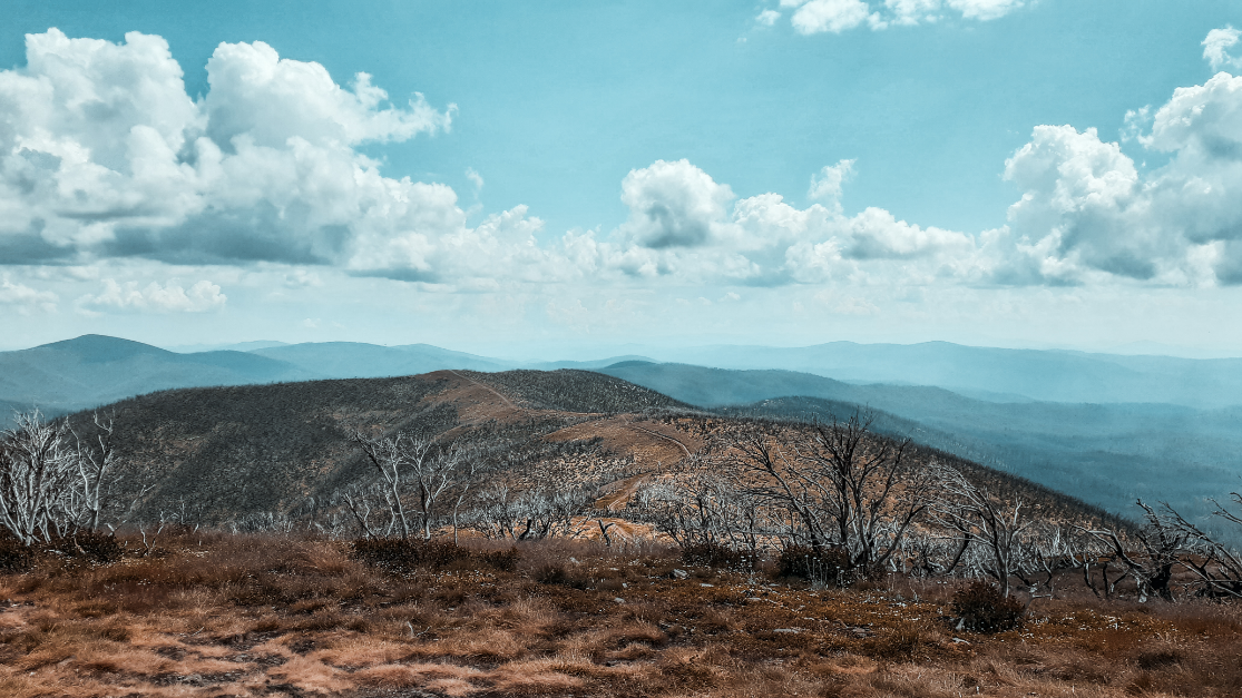Snowy Mtns., Australia photo 6