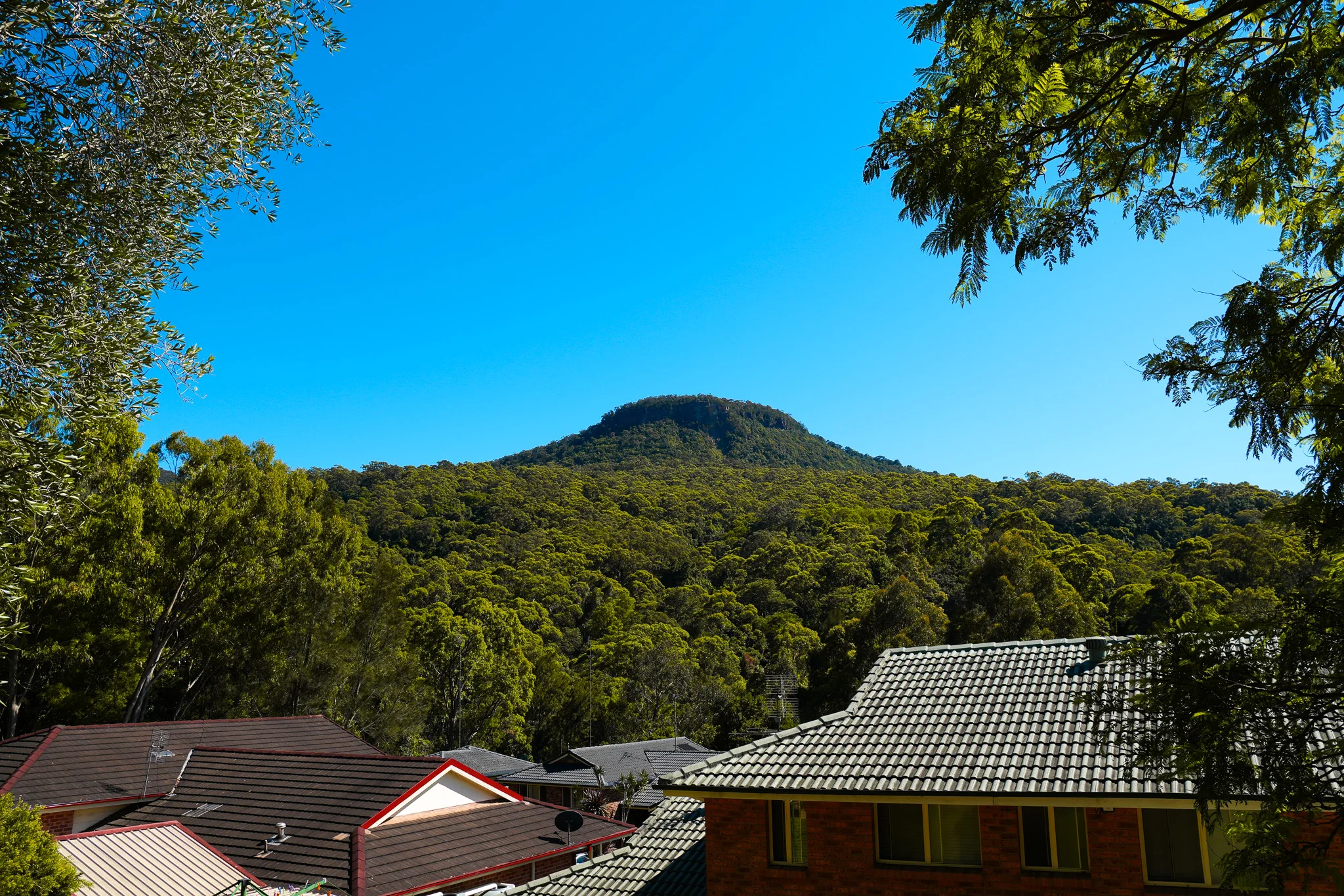 South Coast, Australia photo 1