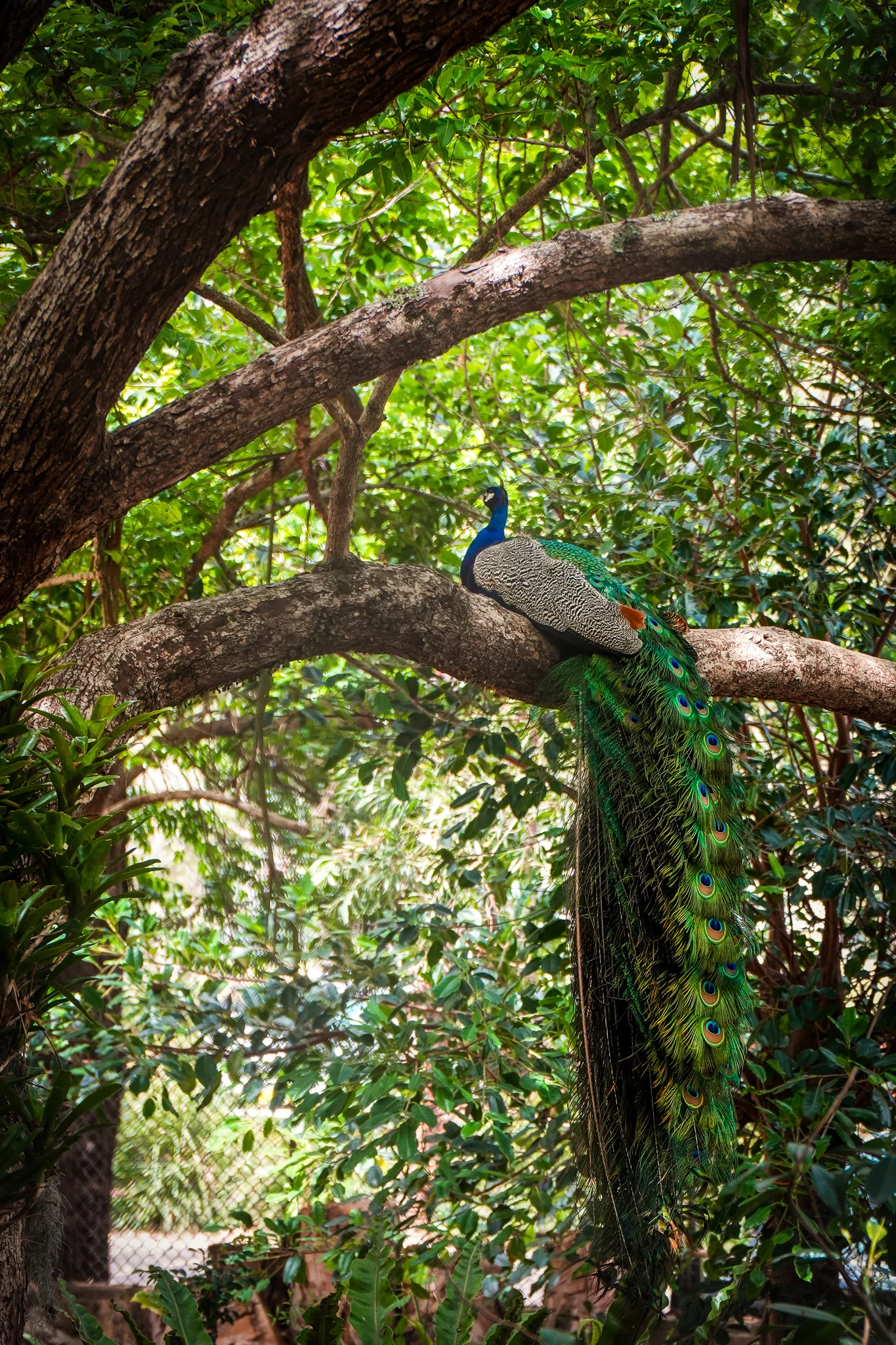 South Coast, Australia photo 5