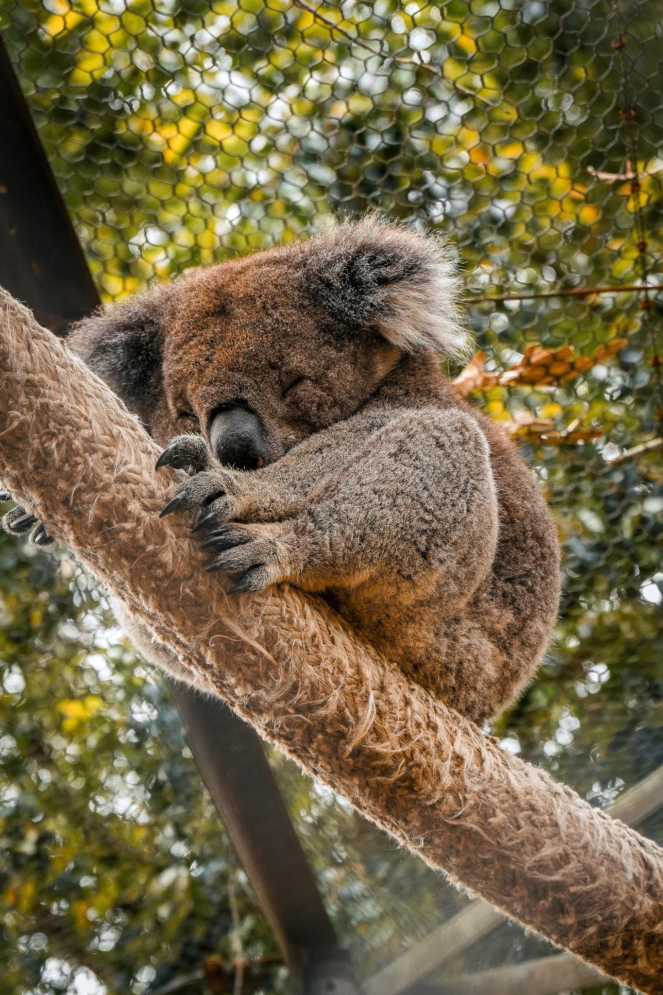 South Coast, Australia photo 6