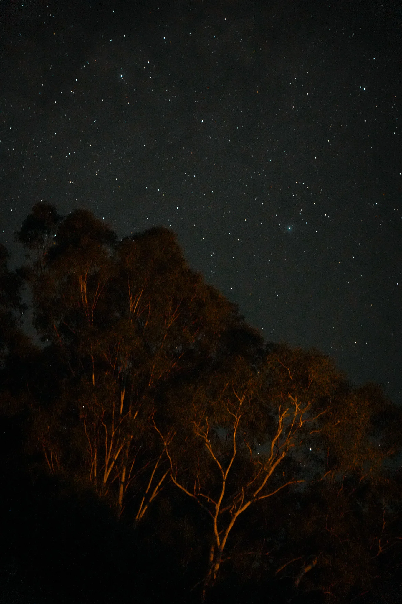 Space photo 7