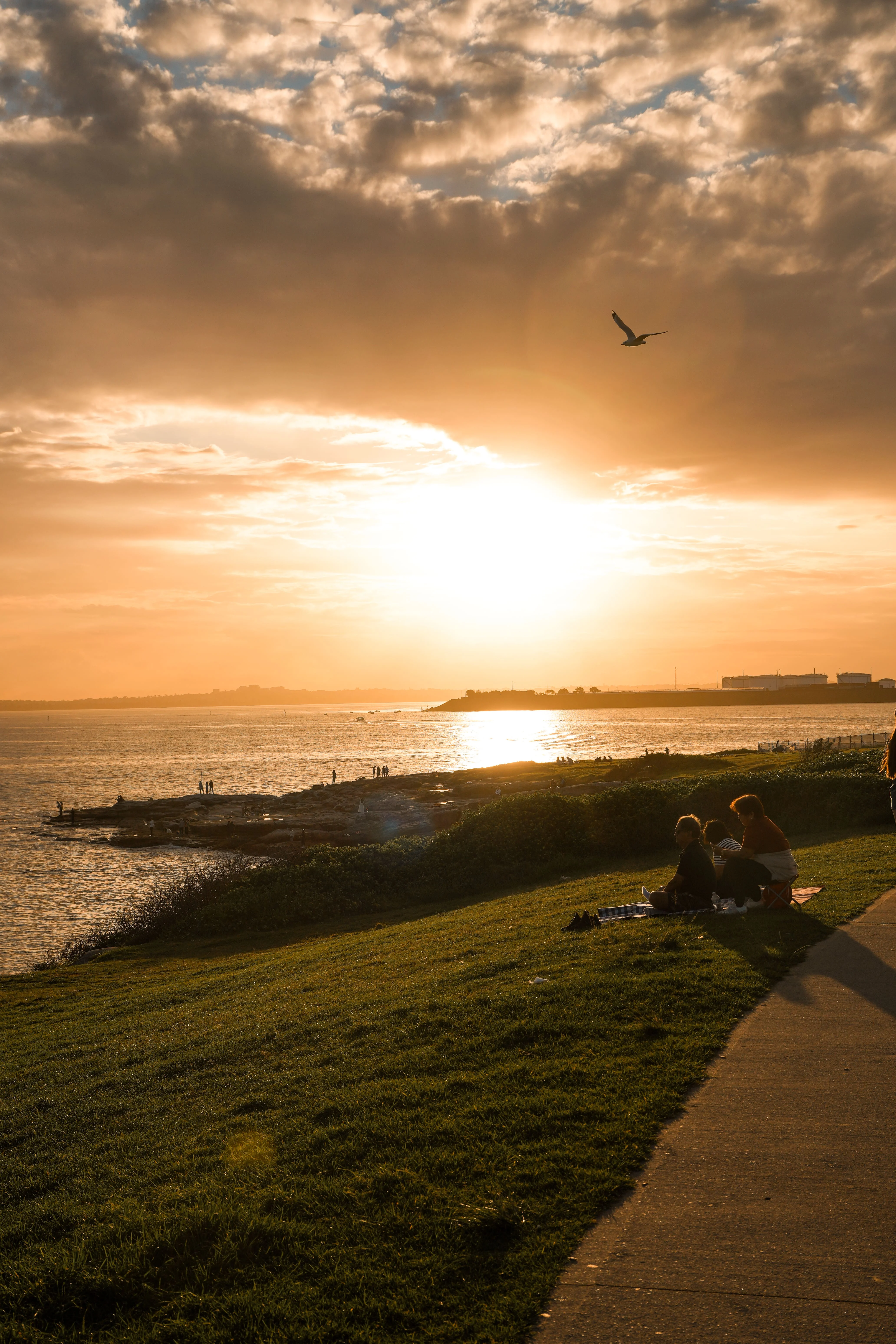 Sydney, Australia photo 15