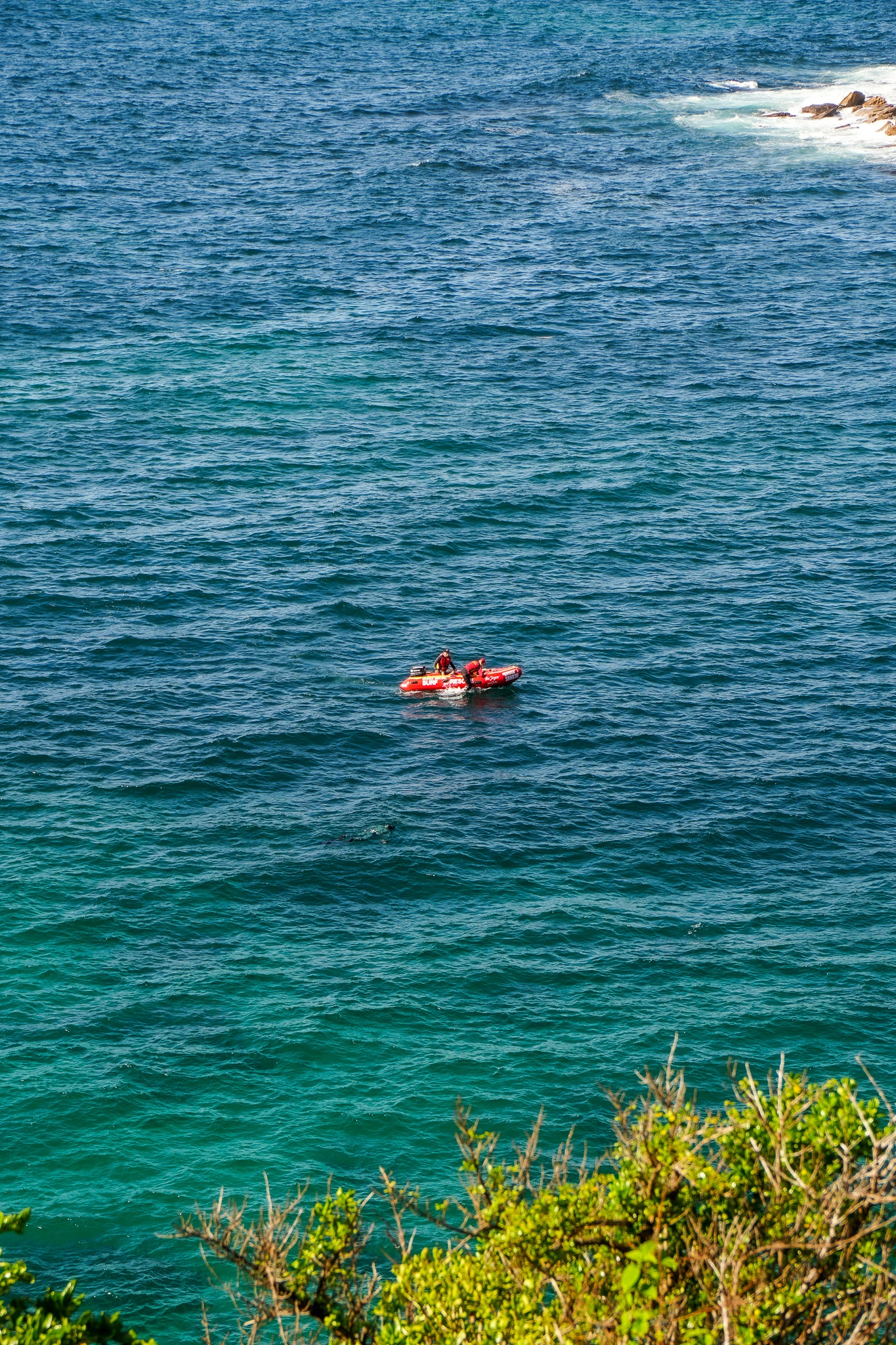 Sydney, Australia photo 42
