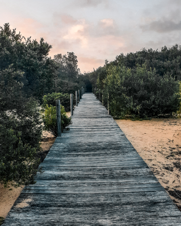 Lake Tabourie, Australia photo 1